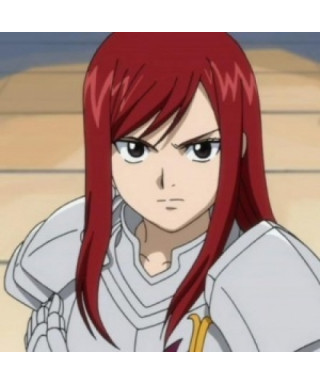 Costume Cosplay Erza Scarlet