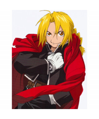Costume cosplay Edward Elric